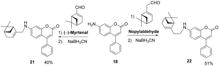 https://cdn.ncbi.nlm.nih.gov/pmc/blobs/ecf9/10054240/1db8fb136908/molecules-28-02673-sch005.jpg