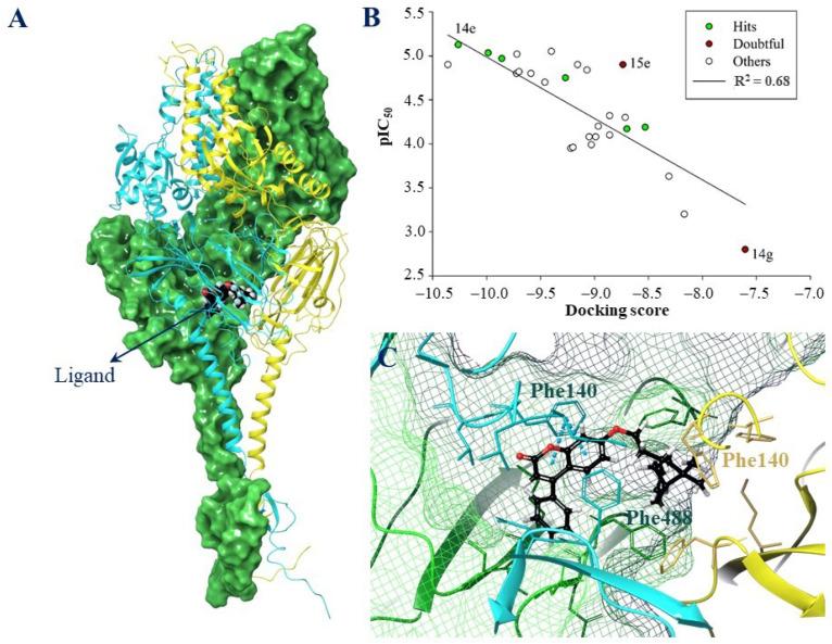 https://cdn.ncbi.nlm.nih.gov/pmc/blobs/ecf9/10054240/c56ca2767a61/molecules-28-02673-g005.jpg