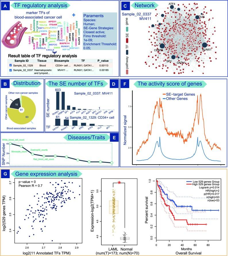 https://cdn.ncbi.nlm.nih.gov/pmc/blobs/ecfe/10320134/2a9be82ba740/gkad408fig2.jpg