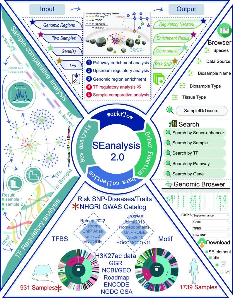 https://cdn.ncbi.nlm.nih.gov/pmc/blobs/ecfe/10320134/9be994a32ab7/gkad408fig1.jpg