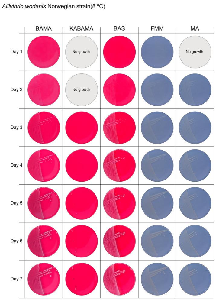 https://cdn.ncbi.nlm.nih.gov/pmc/blobs/ecfe/12300813/3ce91a670a7b/microorganisms-13-01567-g012.jpg