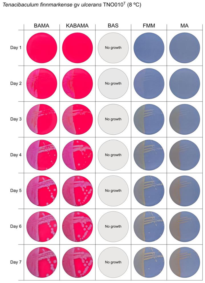 https://cdn.ncbi.nlm.nih.gov/pmc/blobs/ecfe/12300813/e88401444a1c/microorganisms-13-01567-g004.jpg