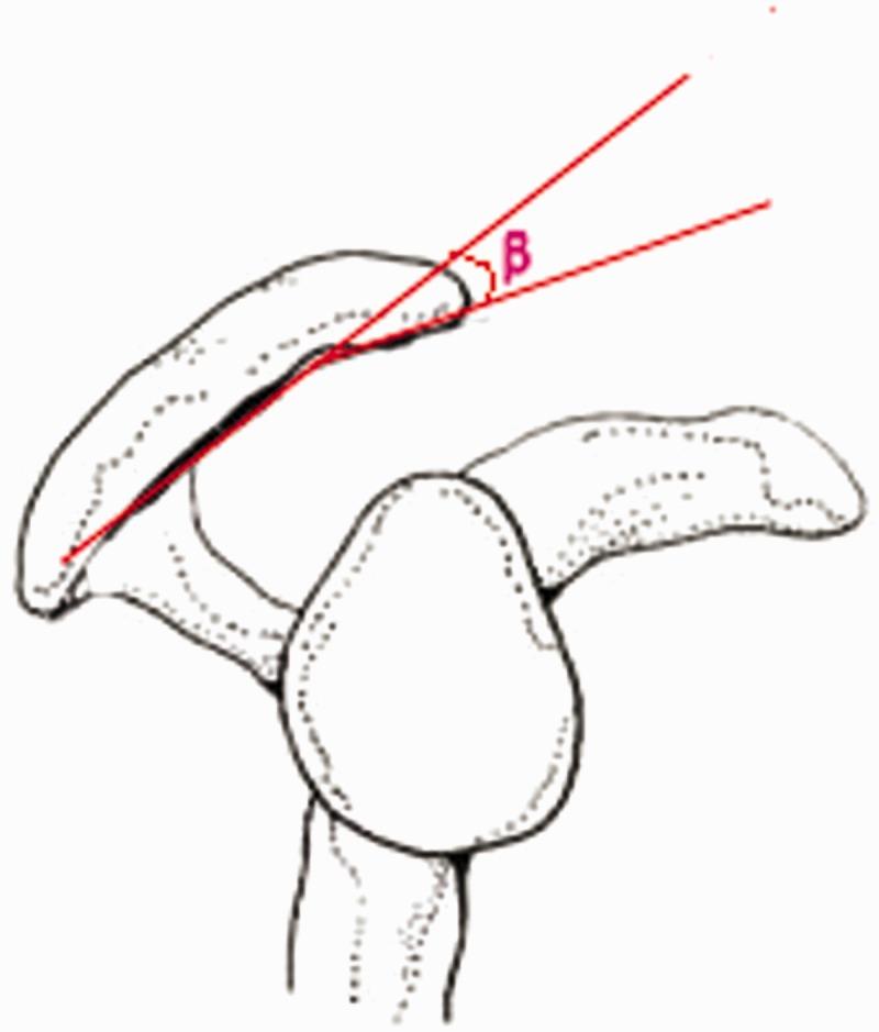 https://cdn.ncbi.nlm.nih.gov/pmc/blobs/ecfe/6011301/a11b0668eb16/10.1177_0300060517725973-fig5.jpg