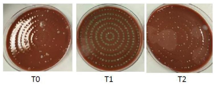 https://cdn.ncbi.nlm.nih.gov/pmc/blobs/ecfe/9916071/1a2c5aa86c22/ijerph-20-02710-g001.jpg