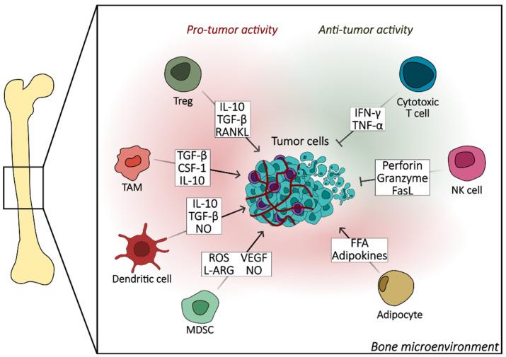 https://cdn.ncbi.nlm.nih.gov/pmc/blobs/ecff/11117796/2bf42c50acfb/biomedicines-12-01075-g003.jpg
