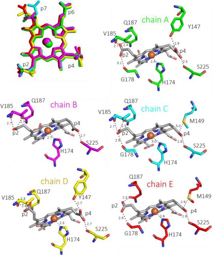 https://cdn.ncbi.nlm.nih.gov/pmc/blobs/ecff/5157759/06f67df640b7/FEBS-283-4386-g003.jpg