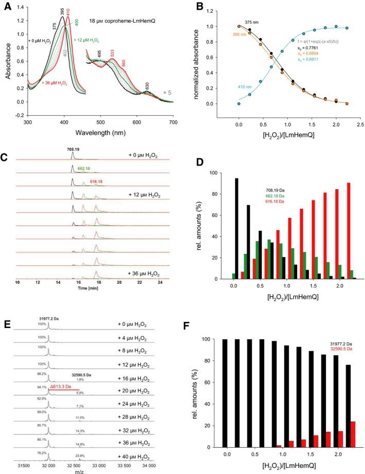 https://cdn.ncbi.nlm.nih.gov/pmc/blobs/ecff/5157759/58ef0bda7ecc/FEBS-283-4386-g008.jpg