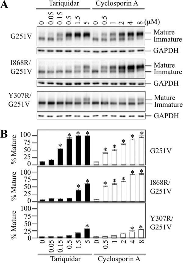 https://cdn.ncbi.nlm.nih.gov/pmc/blobs/ed00/4705942/fdba0359c236/zbc0011633190003.jpg