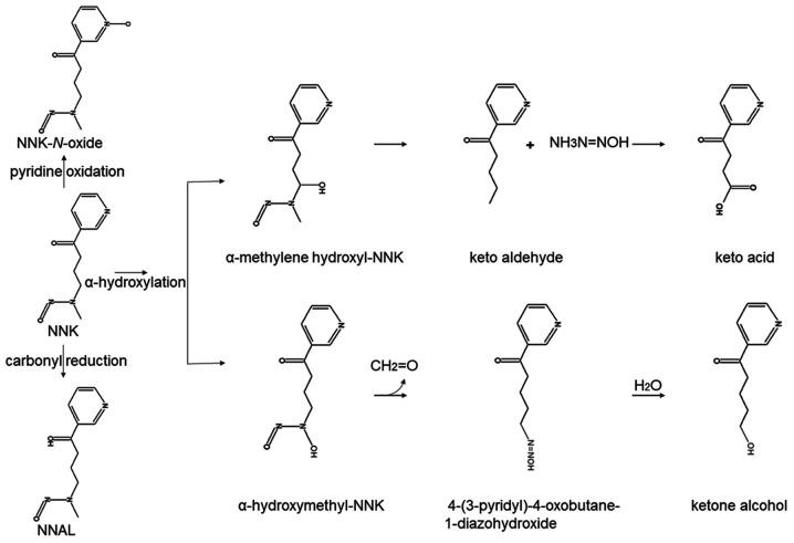https://cdn.ncbi.nlm.nih.gov/pmc/blobs/ed01/8063228/a7b0906181e8/ol-21-06-12726-g00.jpg
