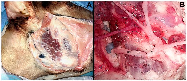 https://cdn.ncbi.nlm.nih.gov/pmc/blobs/ed01/8949064/7579fae58915/ijerph-19-03657-g002.jpg