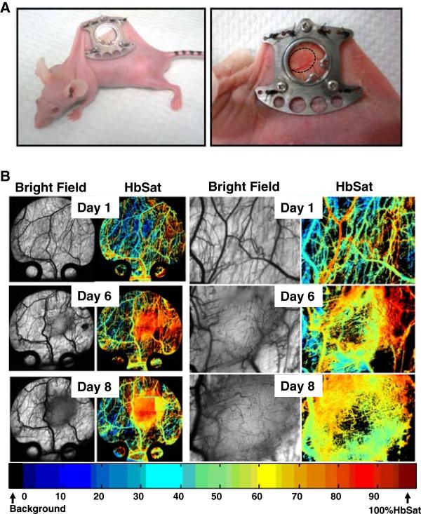 https://cdn.ncbi.nlm.nih.gov/pmc/blobs/ed02/4123308/199dc4705253/2045-824X-6-17-1.jpg