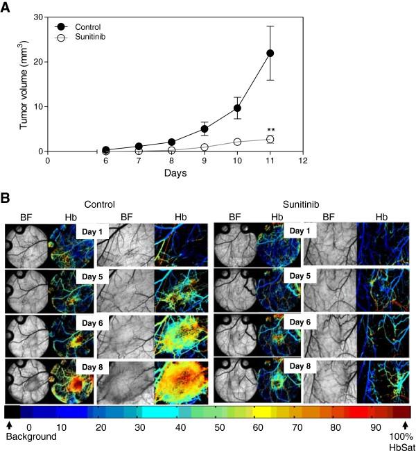 https://cdn.ncbi.nlm.nih.gov/pmc/blobs/ed02/4123308/a6688d2784c0/2045-824X-6-17-2.jpg