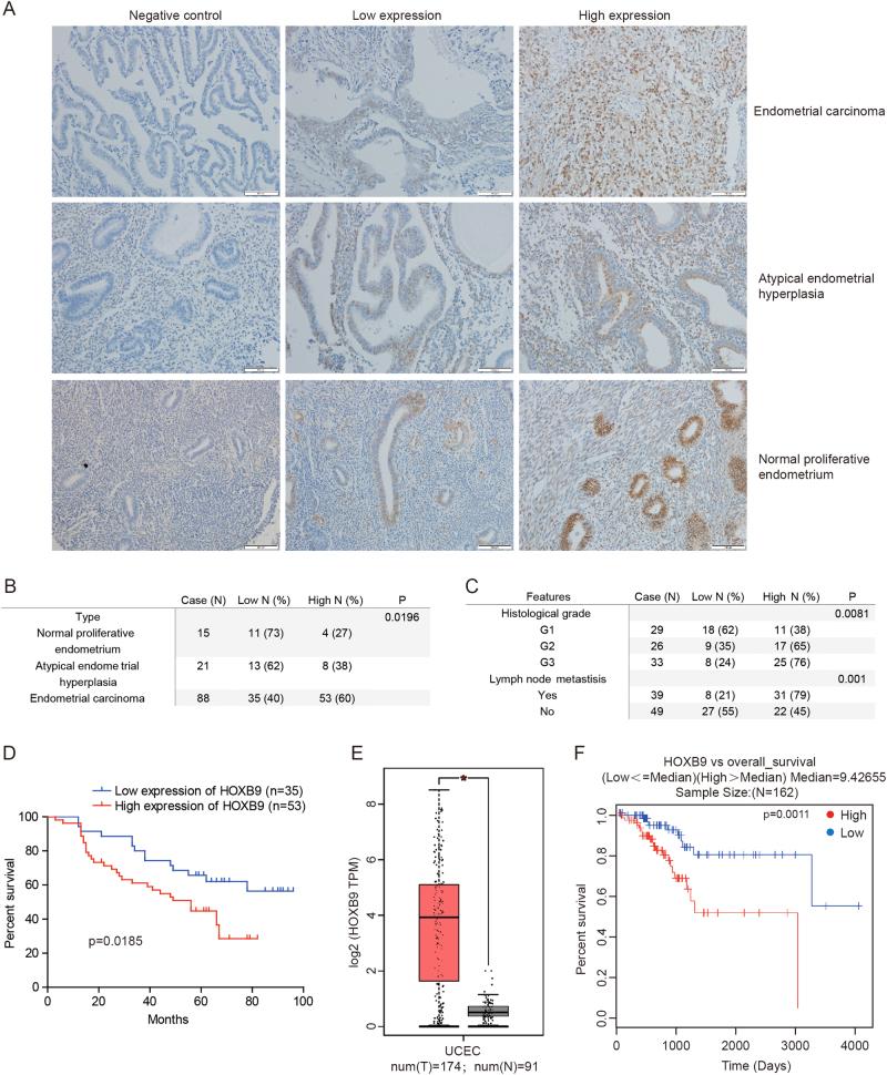 https://cdn.ncbi.nlm.nih.gov/pmc/blobs/ed02/5938704/c84252974c3c/41419_2018_556_Fig1_HTML.jpg