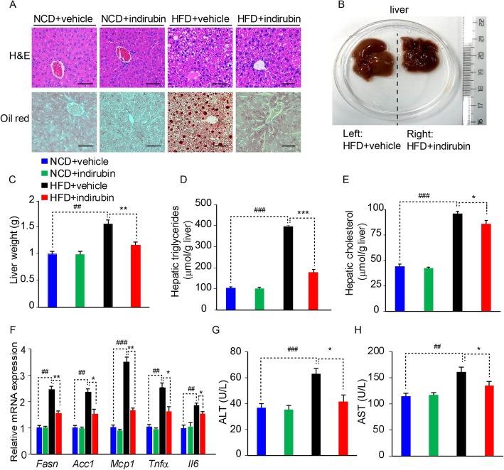 https://cdn.ncbi.nlm.nih.gov/pmc/blobs/ed02/7076951/851eb7a23177/12986_2020_440_Fig5_HTML.jpg