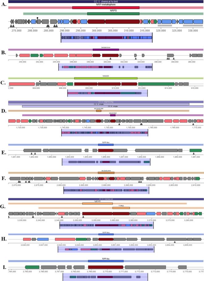 https://cdn.ncbi.nlm.nih.gov/pmc/blobs/ed03/11500355/22c90bca46ef/41598_2024_74830_Fig5_HTML.jpg
