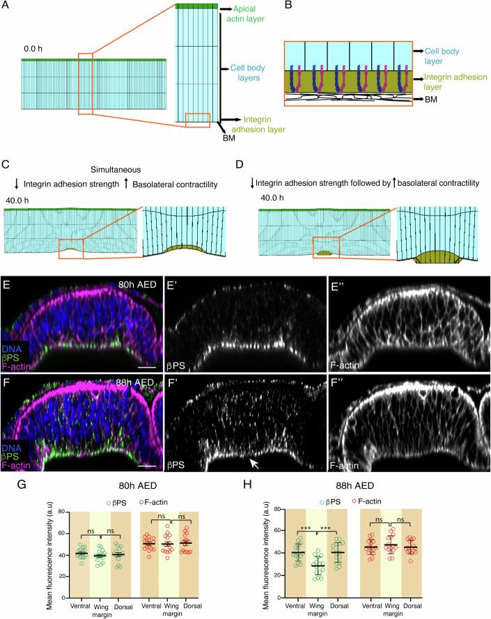 https://cdn.ncbi.nlm.nih.gov/pmc/blobs/ed03/11961693/93499c0808bd/44318_2025_384_Fig3_HTML.jpg