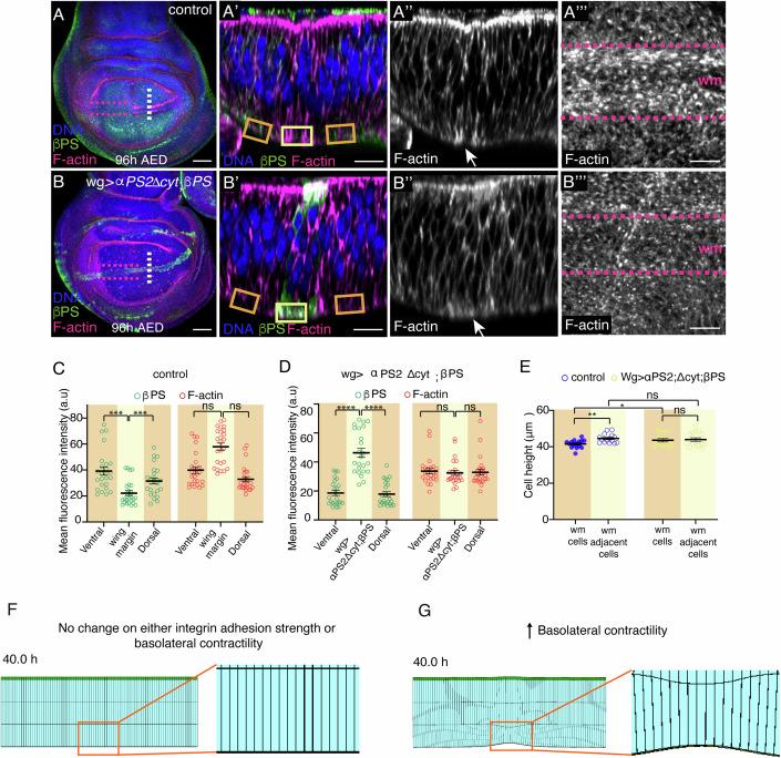 https://cdn.ncbi.nlm.nih.gov/pmc/blobs/ed03/11961693/caf95b3c1638/44318_2025_384_Fig7_HTML.jpg