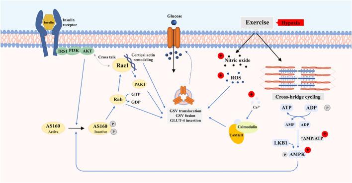 https://cdn.ncbi.nlm.nih.gov/pmc/blobs/ed04/10191996/054a7d9e560a/421_2023_5135_Fig1_HTML.jpg