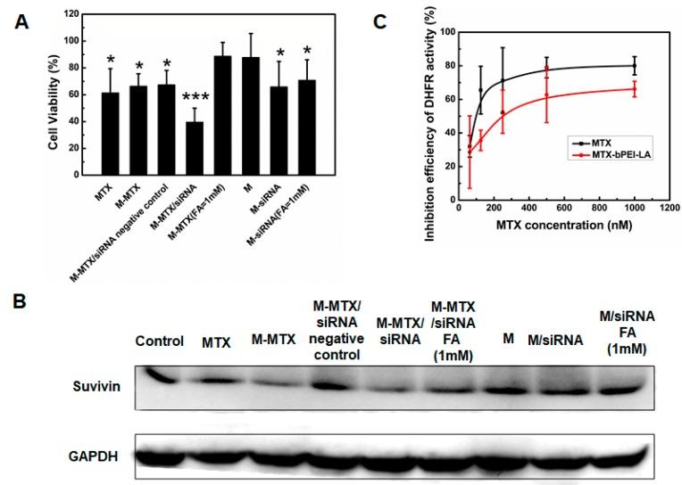 https://cdn.ncbi.nlm.nih.gov/pmc/blobs/ed07/6409946/306fc29d0e7d/pharmaceutics-11-00092-g004.jpg