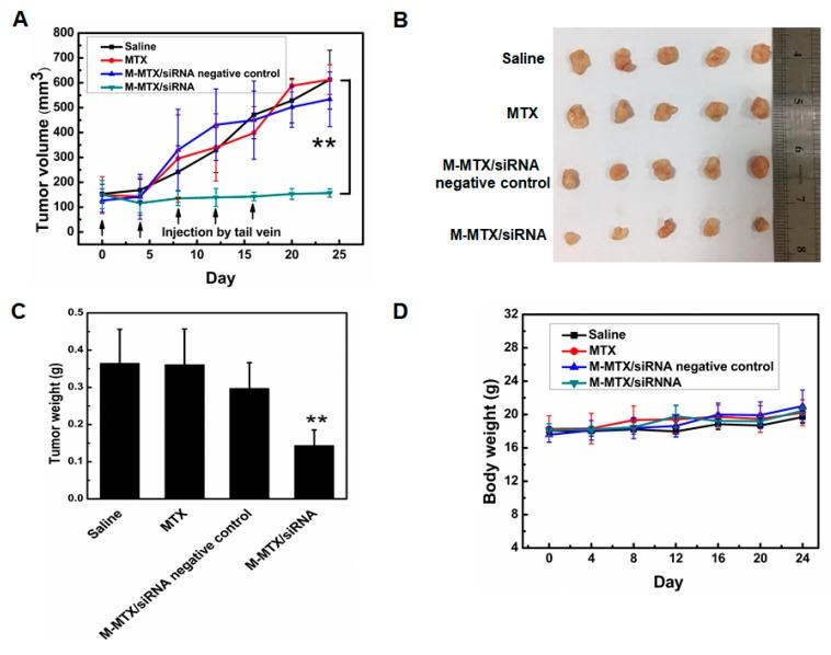 https://cdn.ncbi.nlm.nih.gov/pmc/blobs/ed07/6409946/53b3407d498f/pharmaceutics-11-00092-g006.jpg
