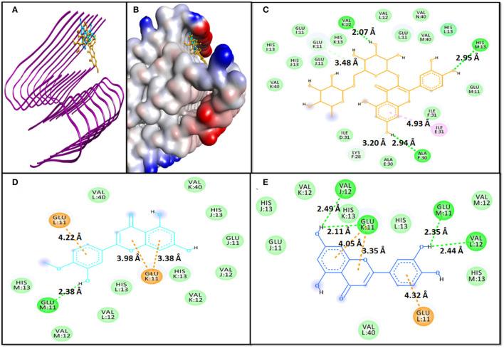https://cdn.ncbi.nlm.nih.gov/pmc/blobs/ed07/9359633/3c4c38729667/fnins-16-915122-g0002.jpg
