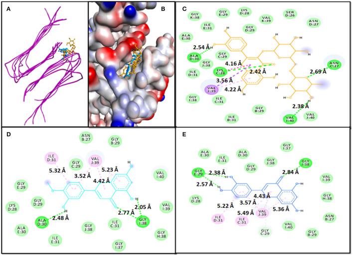 https://cdn.ncbi.nlm.nih.gov/pmc/blobs/ed07/9359633/a75b8c8b1e4c/fnins-16-915122-g0001.jpg