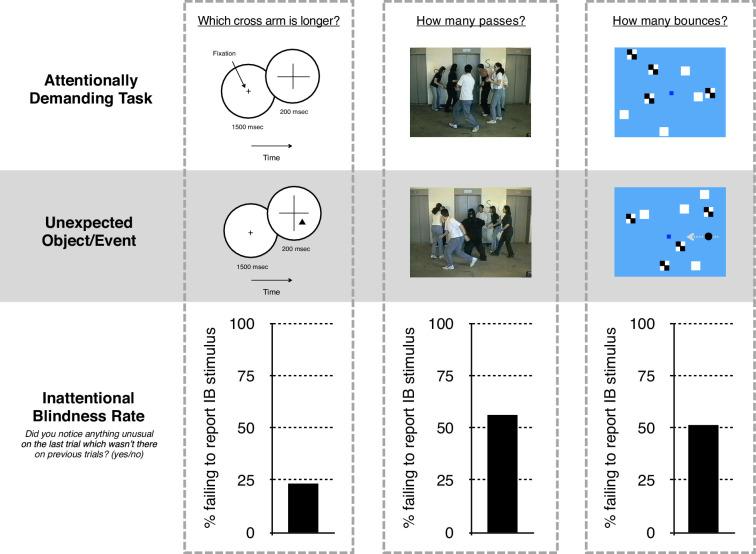 https://cdn.ncbi.nlm.nih.gov/pmc/blobs/ed0b/12088676/f844bf641132/elife-100337-fig1.jpg