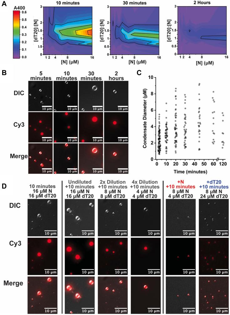https://cdn.ncbi.nlm.nih.gov/pmc/blobs/ed0c/11541828/88a552a3bf9a/gr3.jpg