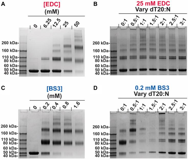 https://cdn.ncbi.nlm.nih.gov/pmc/blobs/ed0c/11541828/b82796452440/gr4.jpg