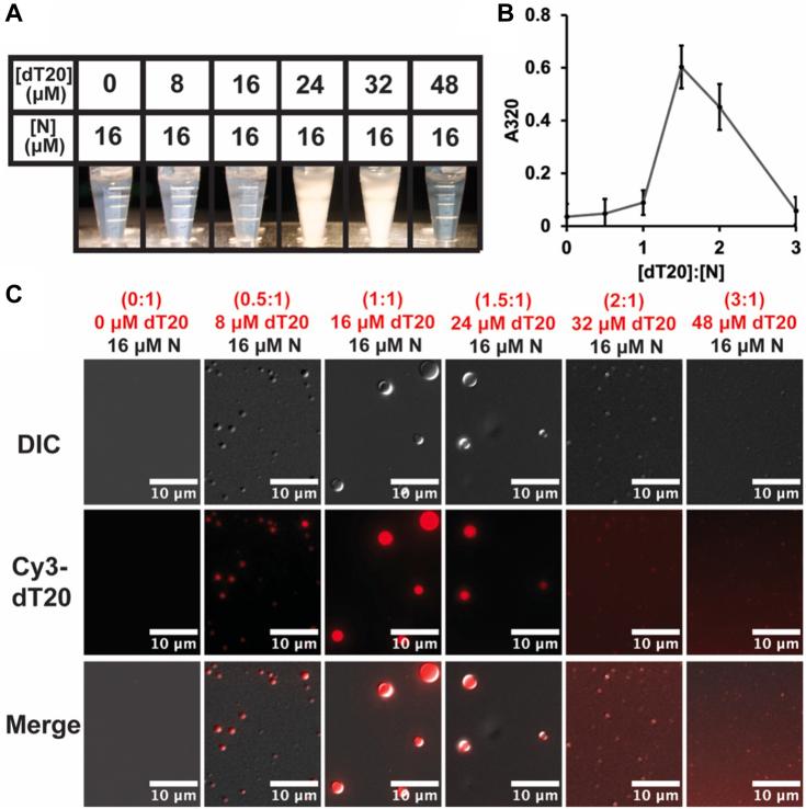 https://cdn.ncbi.nlm.nih.gov/pmc/blobs/ed0c/11541828/c31282861620/gr2.jpg