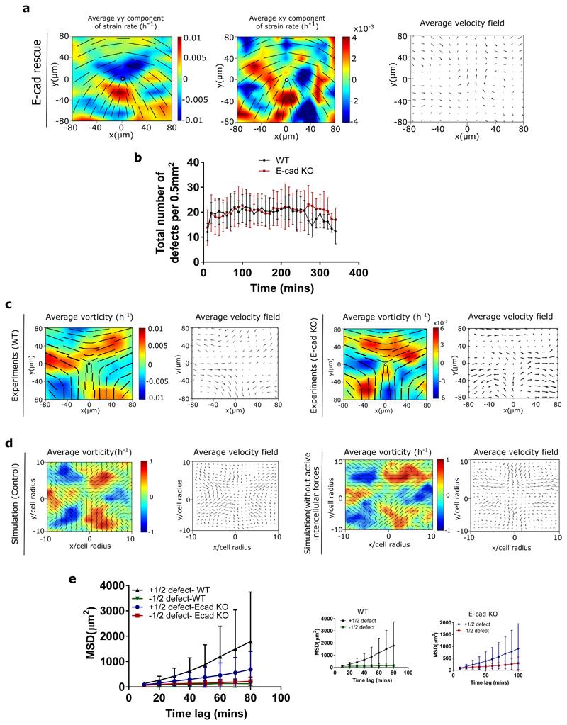 https://cdn.ncbi.nlm.nih.gov/pmc/blobs/ed0d/7611436/d9fbbaa78c80/EMS118803-f011.jpg