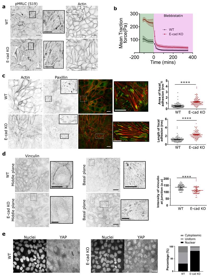 https://cdn.ncbi.nlm.nih.gov/pmc/blobs/ed0d/7611436/efccf2b2ab26/EMS118803-f004.jpg