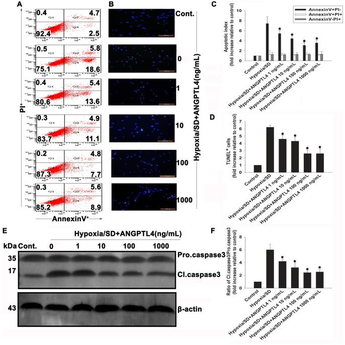 https://cdn.ncbi.nlm.nih.gov/pmc/blobs/ed10/3897528/25cf94139a38/pone.0085808.g003.jpg