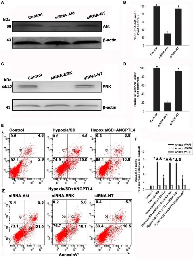 https://cdn.ncbi.nlm.nih.gov/pmc/blobs/ed10/3897528/330919e2c8c6/pone.0085808.g009.jpg