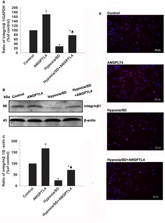 https://cdn.ncbi.nlm.nih.gov/pmc/blobs/ed10/3897528/85b4b21fe6a2/pone.0085808.g006.jpg