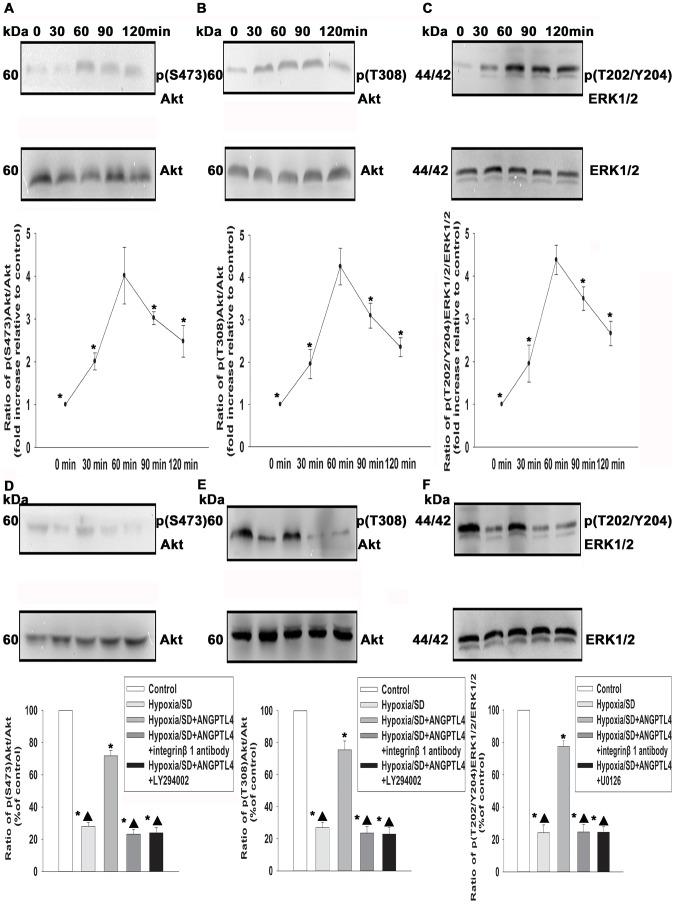 https://cdn.ncbi.nlm.nih.gov/pmc/blobs/ed10/3897528/8a66d1137a79/pone.0085808.g008.jpg