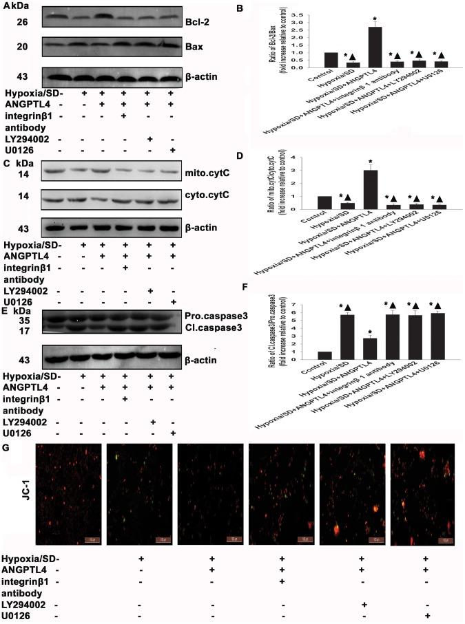 https://cdn.ncbi.nlm.nih.gov/pmc/blobs/ed10/3897528/d8428a624adf/pone.0085808.g010.jpg