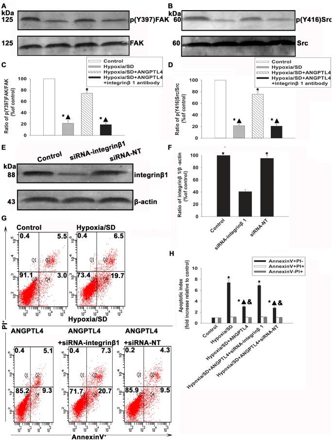 https://cdn.ncbi.nlm.nih.gov/pmc/blobs/ed10/3897528/f27a99415da9/pone.0085808.g007.jpg