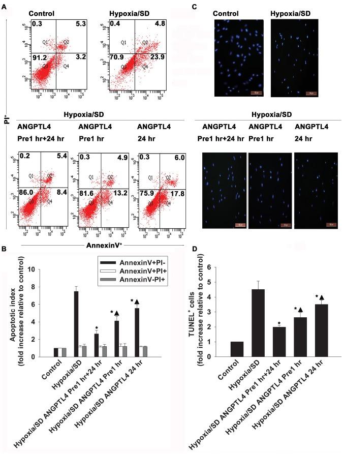 https://cdn.ncbi.nlm.nih.gov/pmc/blobs/ed10/3897528/f742ed880c09/pone.0085808.g002.jpg