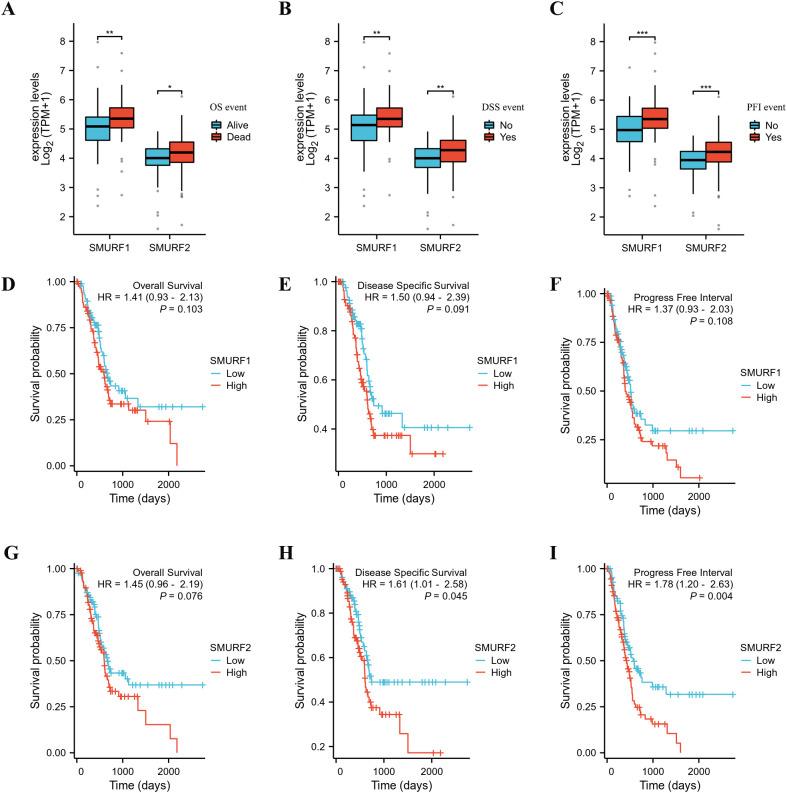https://cdn.ncbi.nlm.nih.gov/pmc/blobs/ed11/12058758/259dcebc75a8/fonc-15-1538335-g001.jpg