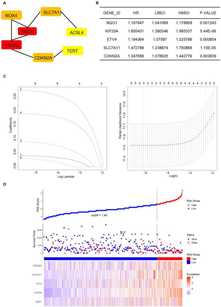 https://cdn.ncbi.nlm.nih.gov/pmc/blobs/ed12/11852437/520a3f661c0c/fimmu-16-1531874-g005.jpg