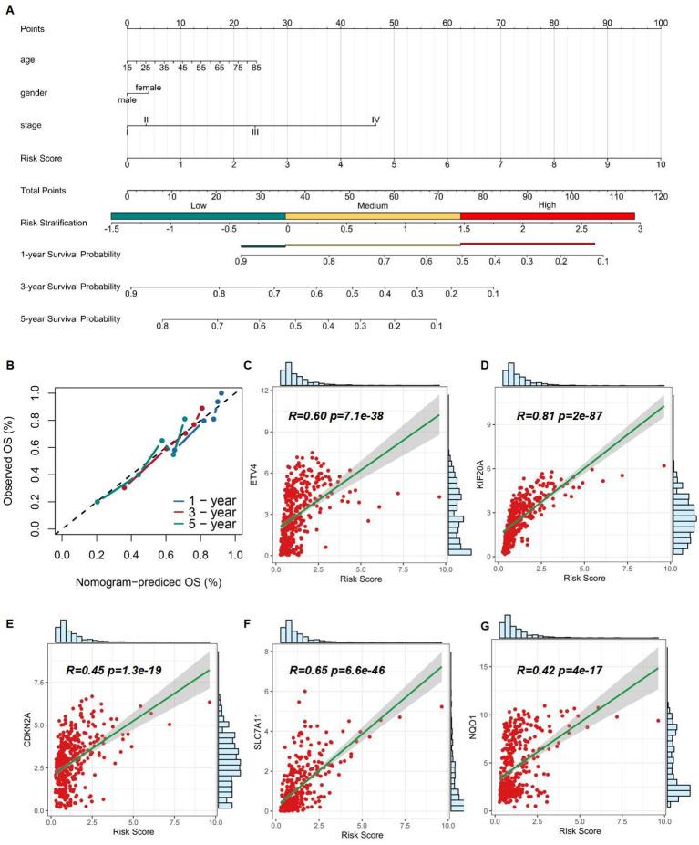 https://cdn.ncbi.nlm.nih.gov/pmc/blobs/ed12/11852437/88e22c38813d/fimmu-16-1531874-g007.jpg