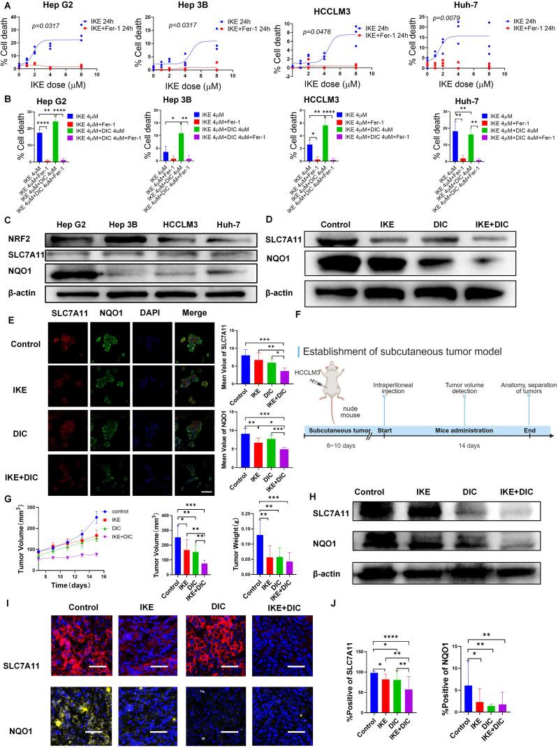 https://cdn.ncbi.nlm.nih.gov/pmc/blobs/ed12/11852437/b42cb79381ef/fimmu-16-1531874-g012.jpg