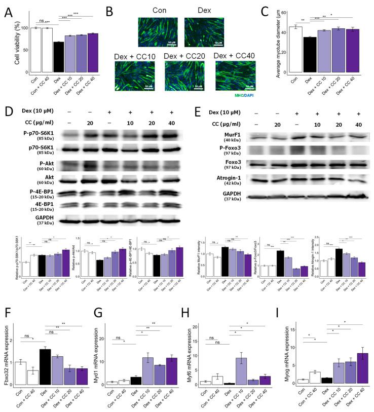 https://cdn.ncbi.nlm.nih.gov/pmc/blobs/ed13/11054969/834233717af3/nutrients-16-01130-g001.jpg