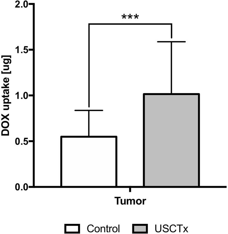 https://cdn.ncbi.nlm.nih.gov/pmc/blobs/ed13/7554611/005d1291f232/fphar-11-584344-g007.jpg