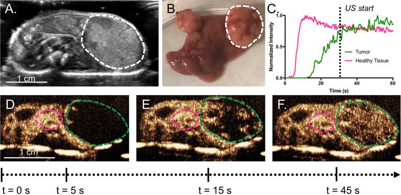 https://cdn.ncbi.nlm.nih.gov/pmc/blobs/ed13/7554611/35efb3a69a15/fphar-11-584344-g003.jpg
