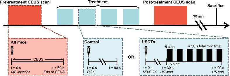 https://cdn.ncbi.nlm.nih.gov/pmc/blobs/ed13/7554611/77832f8a6341/fphar-11-584344-g002.jpg