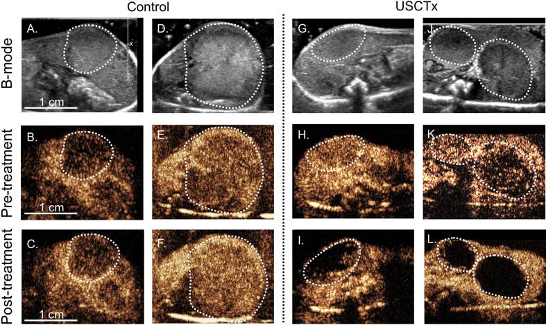 https://cdn.ncbi.nlm.nih.gov/pmc/blobs/ed13/7554611/c374768b4294/fphar-11-584344-g005.jpg