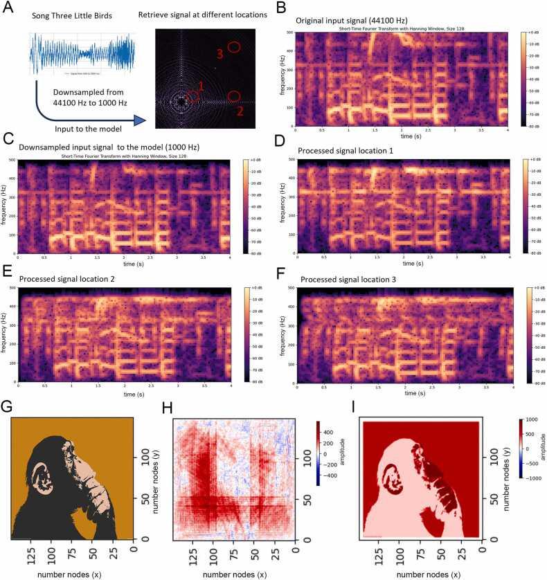 https://cdn.ncbi.nlm.nih.gov/pmc/blobs/ed15/11647244/8584699e19d9/gr5.jpg