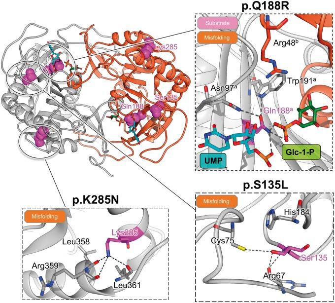 https://cdn.ncbi.nlm.nih.gov/pmc/blobs/ed15/5081055/389e33b29d98/ddw091f4p.jpg